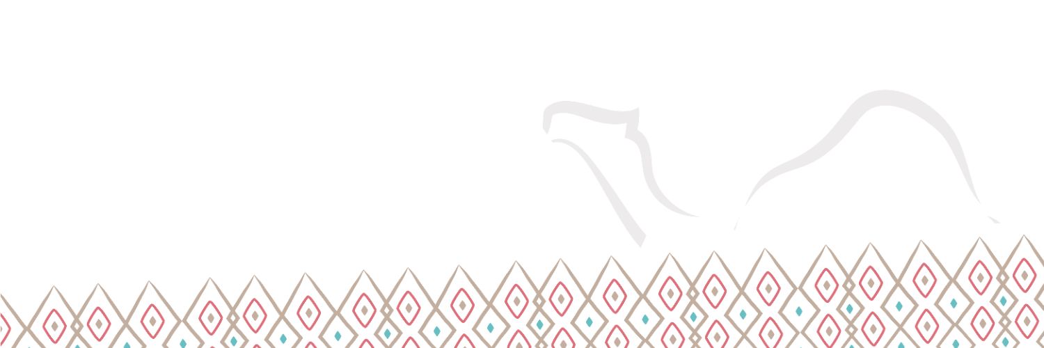 نادي قطر لمزاين الإبل's banner