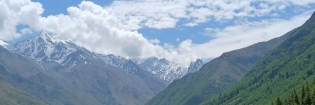 Aditi's banner