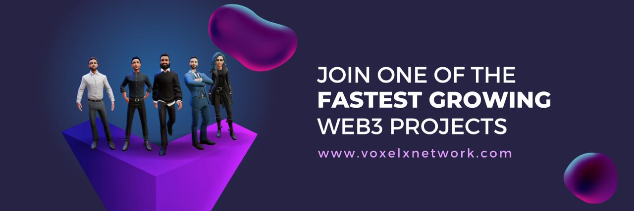 Voxel X Network's banner