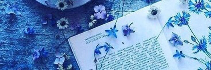 Tisha Marie's banner