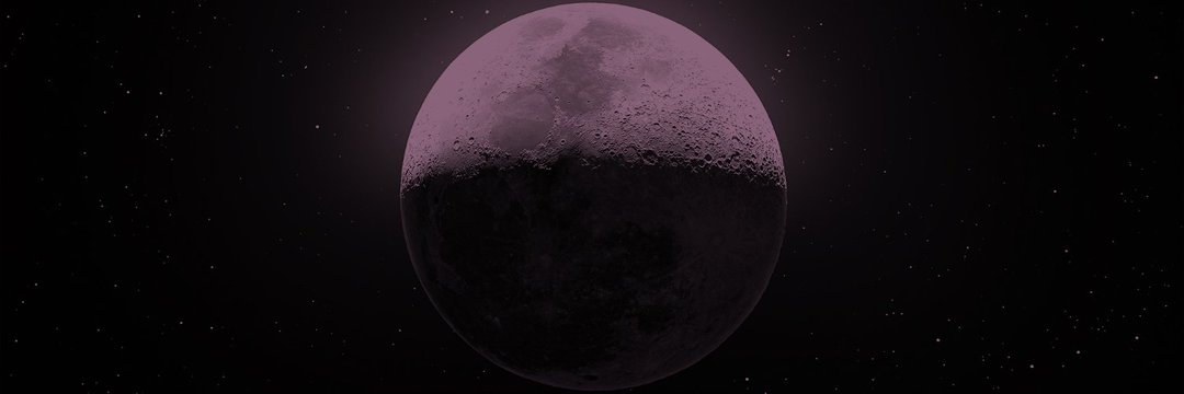 W O L F ♪'s banner