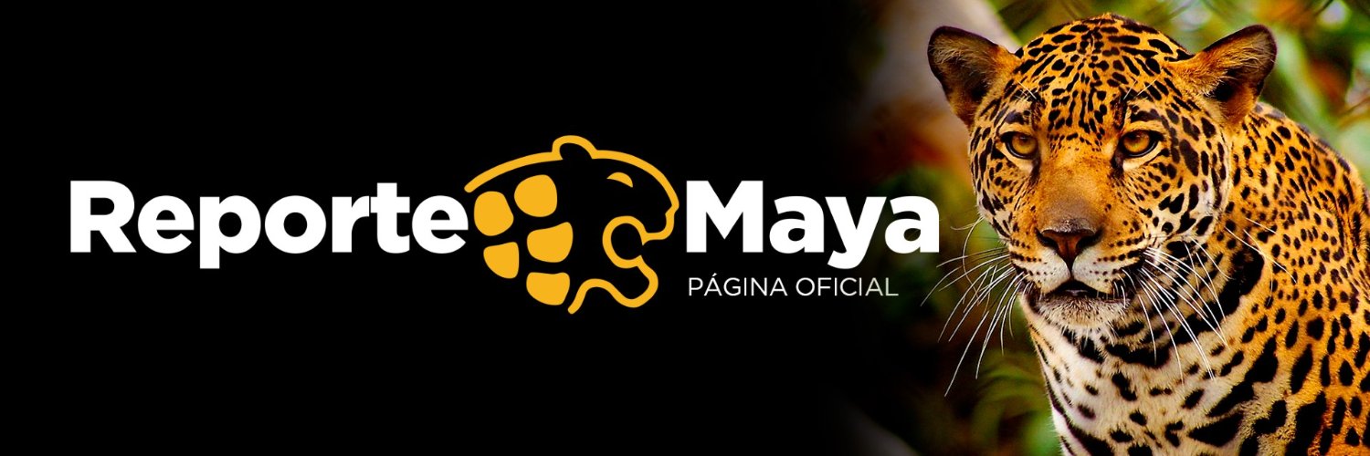 Reporte Maya's banner
