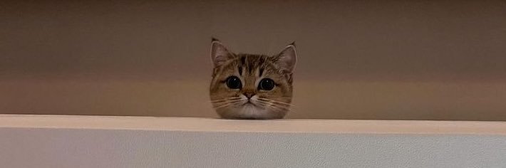 ささみ's banner