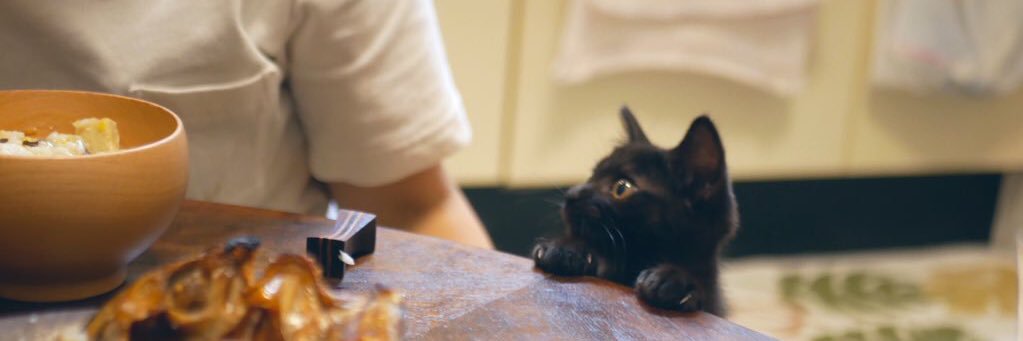⭐️🐈‍⬛すーちゃん🐈‍⬛⭐️'s banner