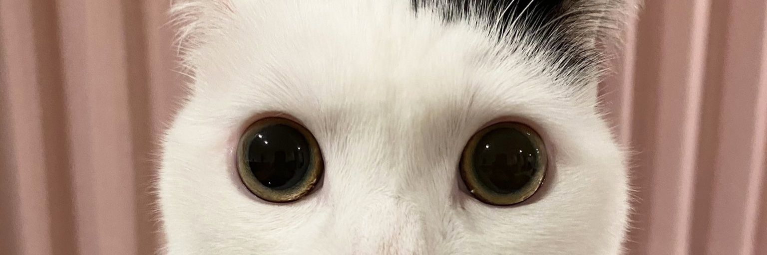 红尘飞's banner