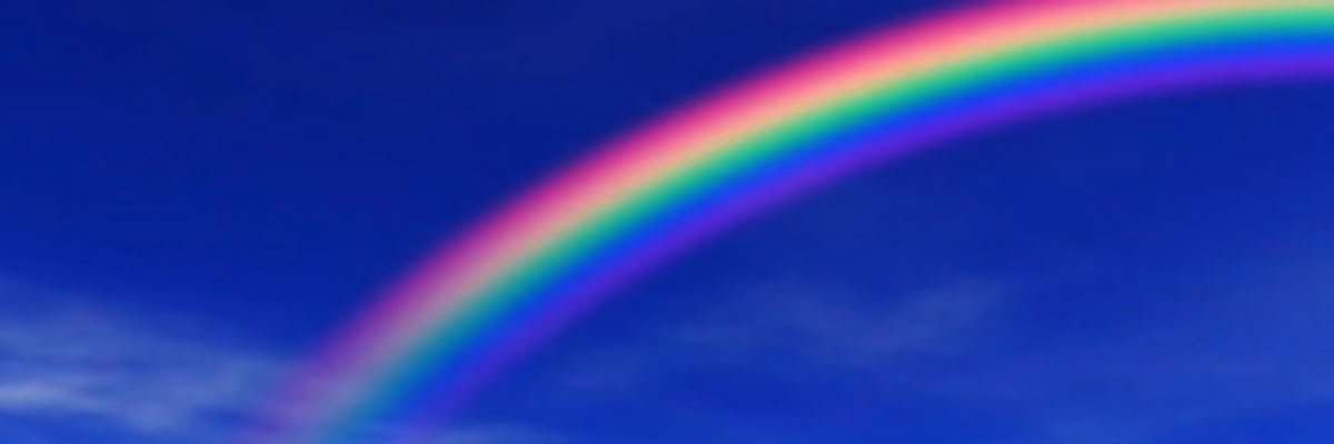 weeny's banner