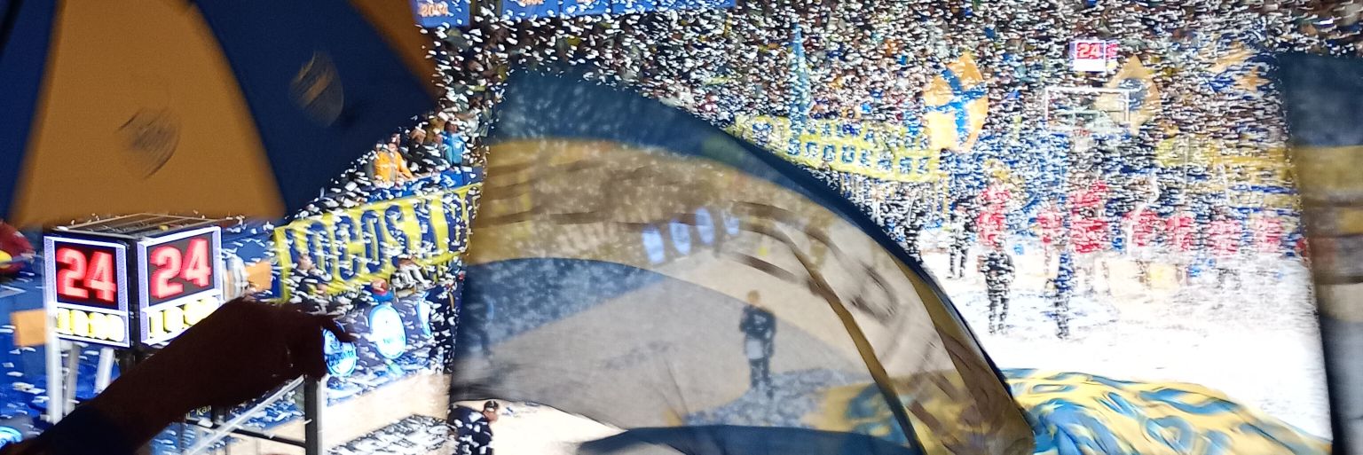 yani 🇸🇪's banner
