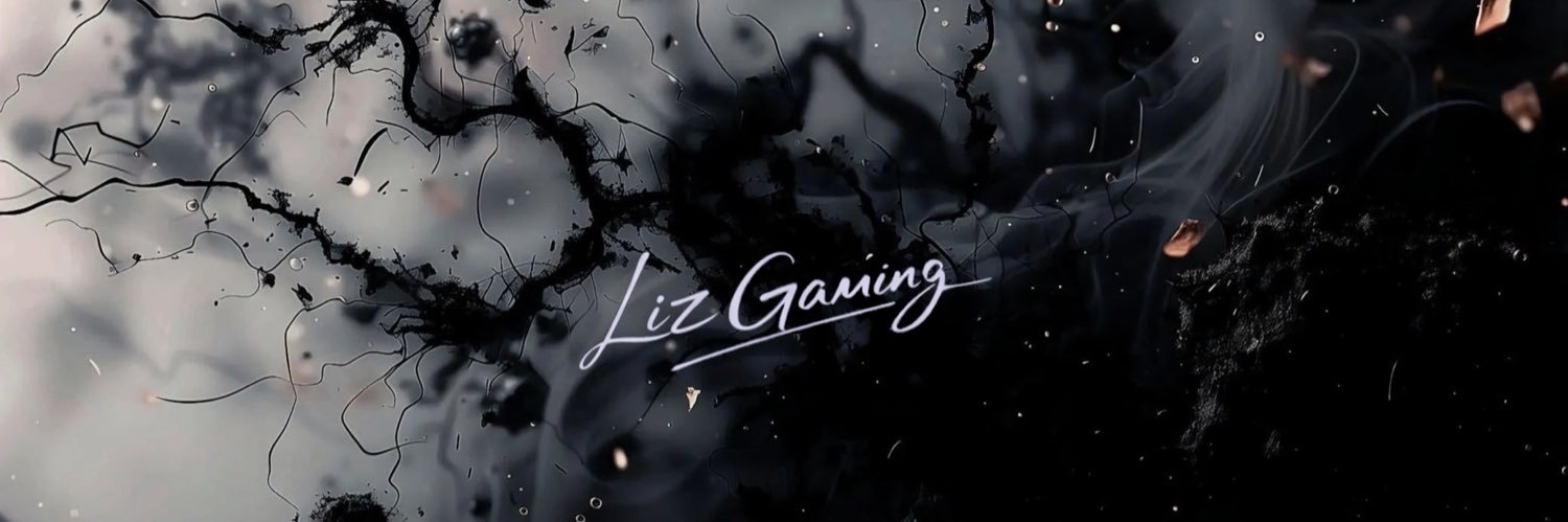 りずくんぬ｜LizGaming's banner