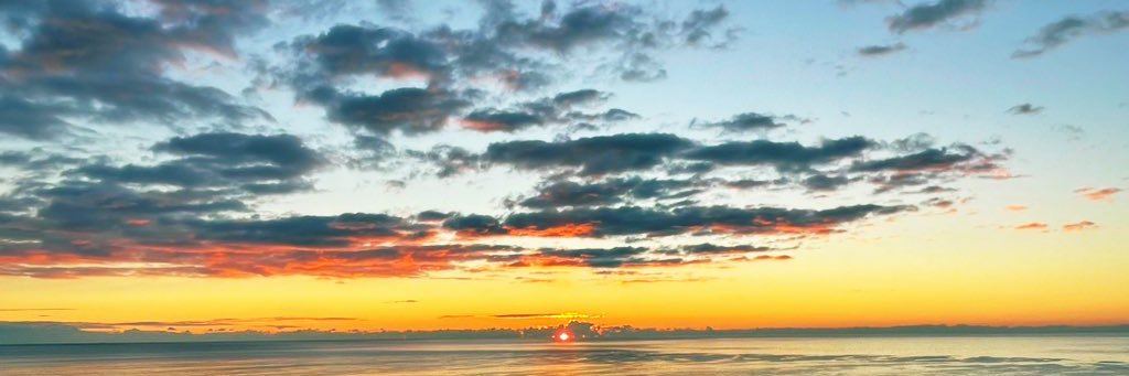 ぼくねん医's banner