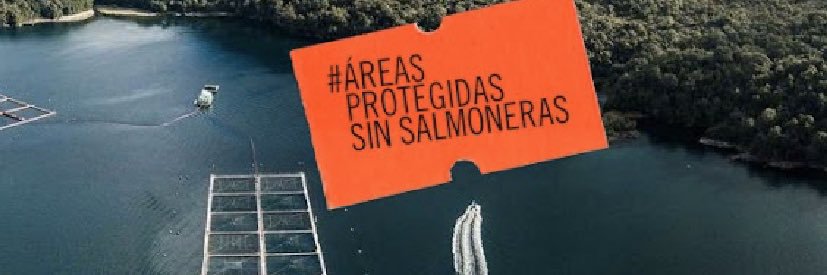 ÁreasProtegidasSinSalmoneras's banner