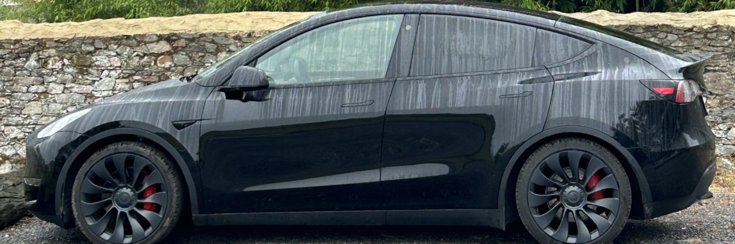 Tesla 4 People's banner