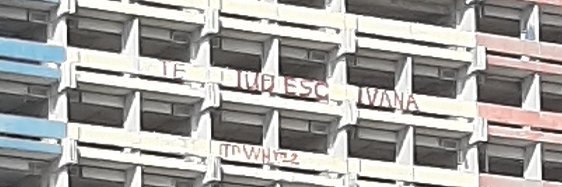 La Zurda Imperial's banner