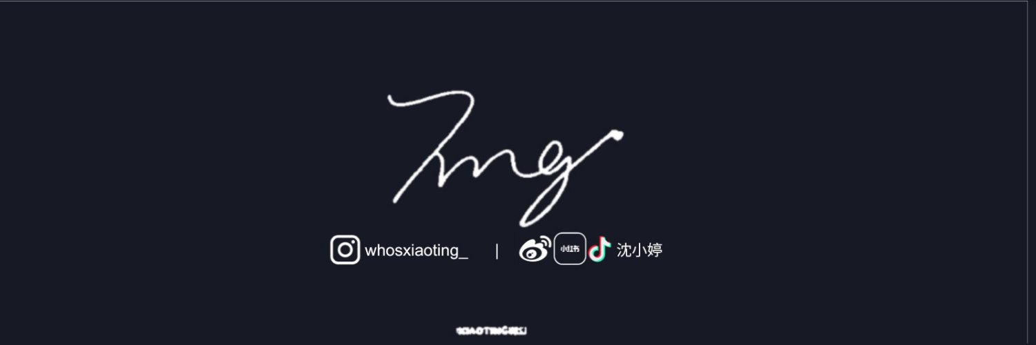 XIAOTING TEAM's banner