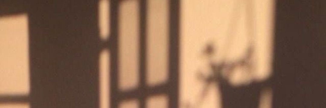 zeynep's banner