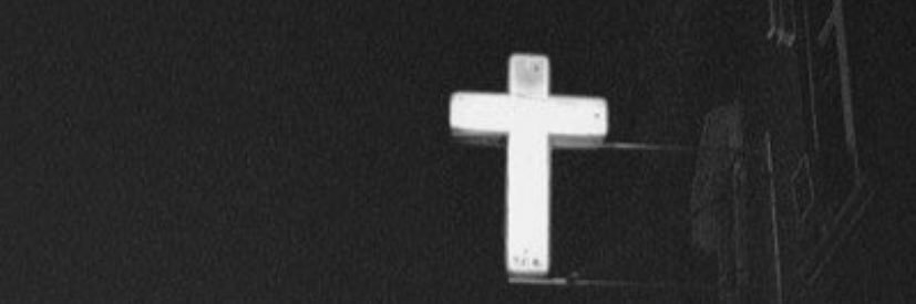 Jaylen Johnson's banner