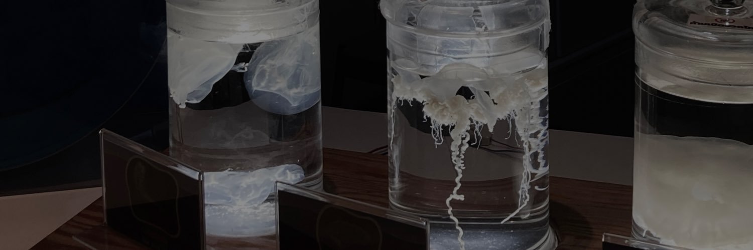 ₍^. .^₎⟆'s banner