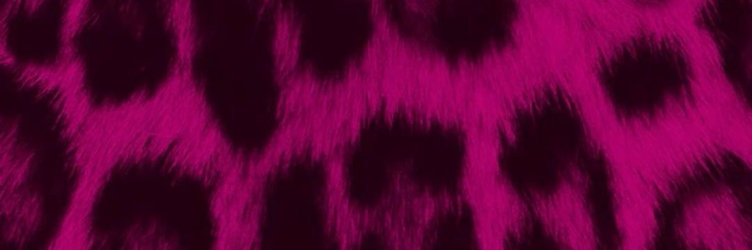 Lady🩷✨'s banner