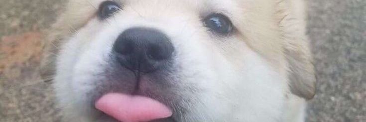kkkkkkkkkkkkkkkkkk's banner