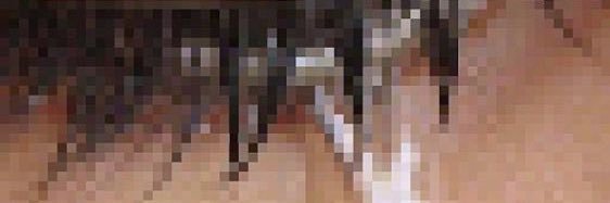 tenninefourteen's banner
