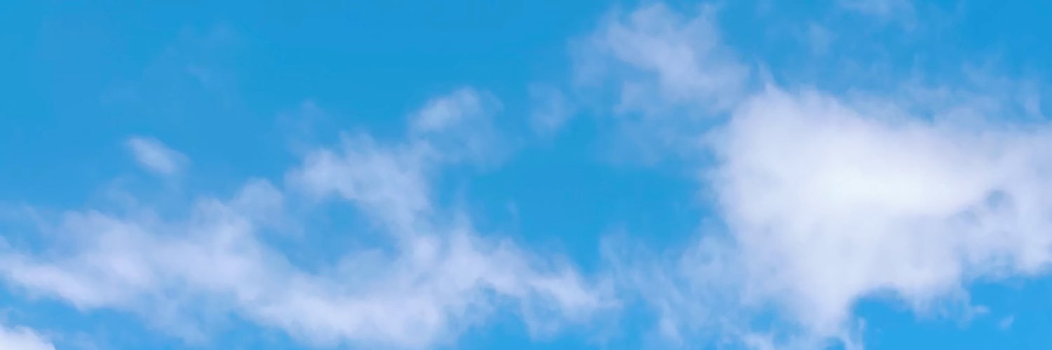 Lalli Campuzano's banner