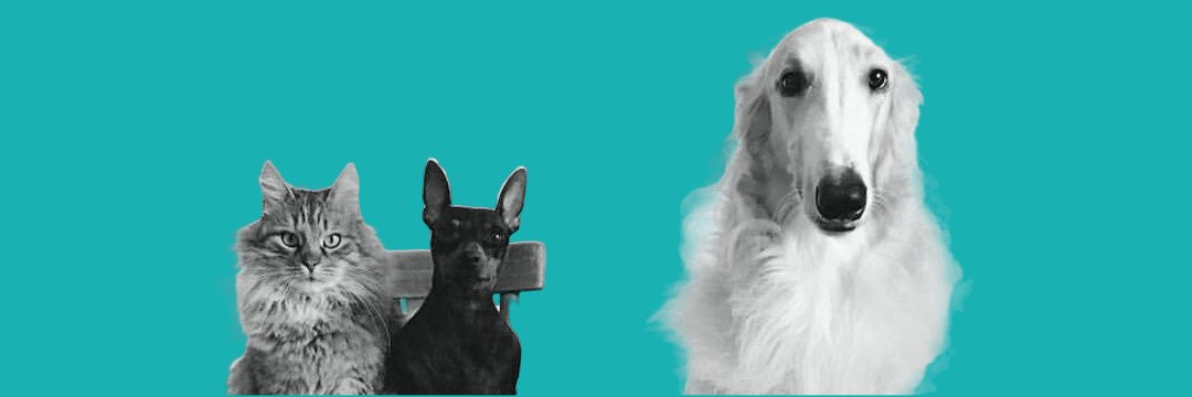 The Blue Borzoi . Le Grand Bleu . Riga-Latvia's banner