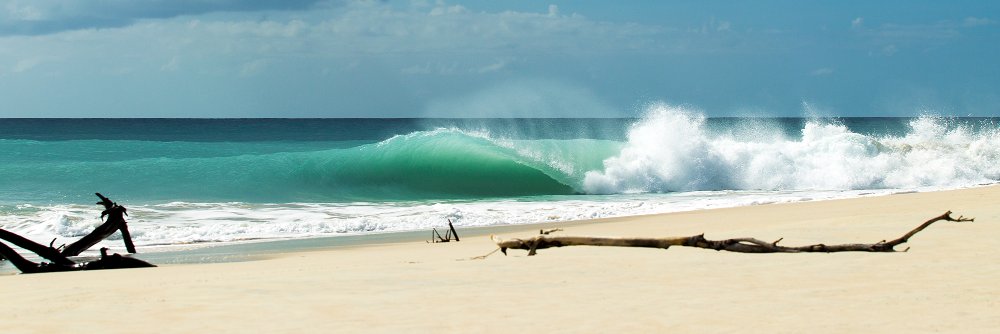 Surfline's banner