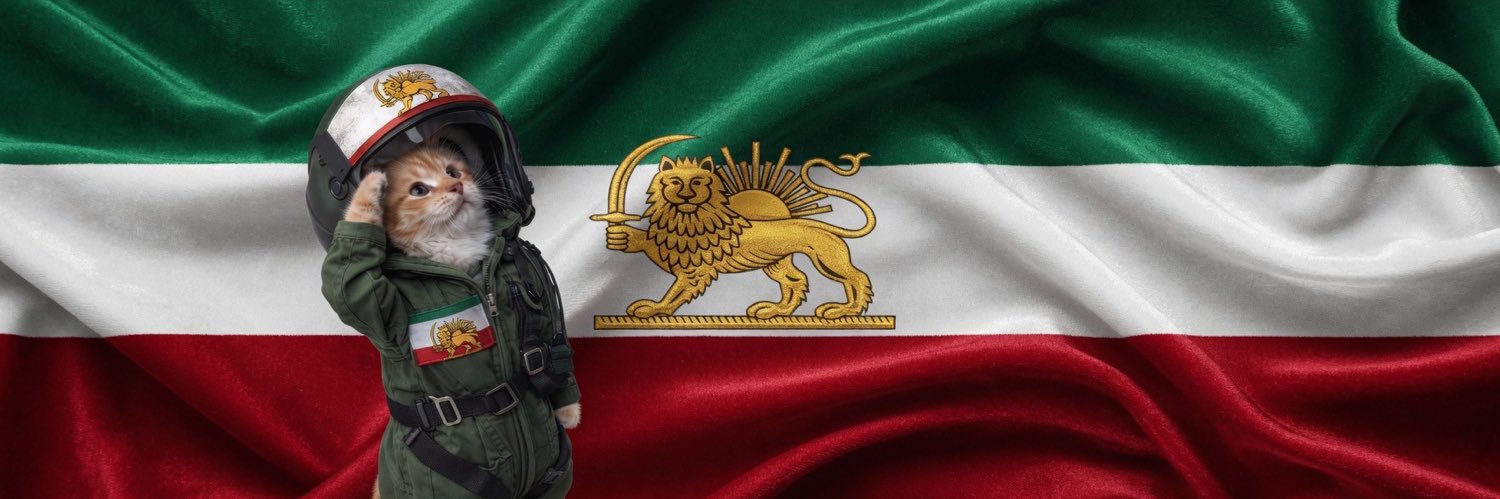 دختر استاد سعید سکویی🦁🌞's banner