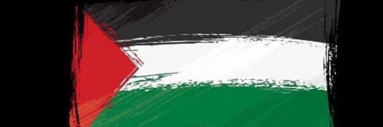 Ahmed in Gaza🇵🇸's banner