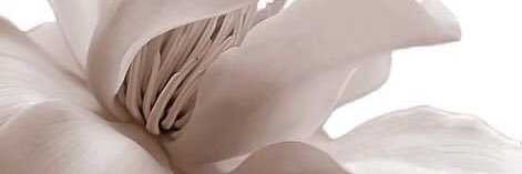 " نونــــا🥰 "__🥀's banner