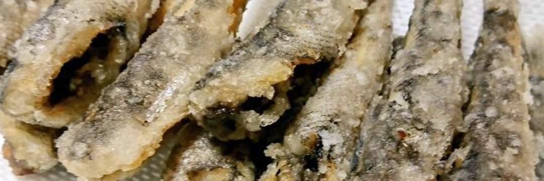 あさくらら（めひかり仙人）'s banner