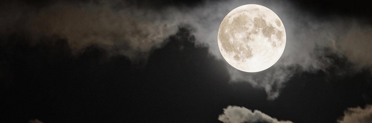 moonlight🌙's banner