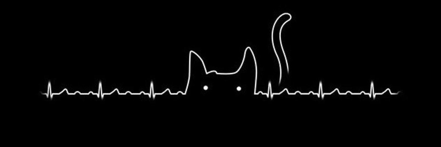 Catcat2_shop🐱's banner