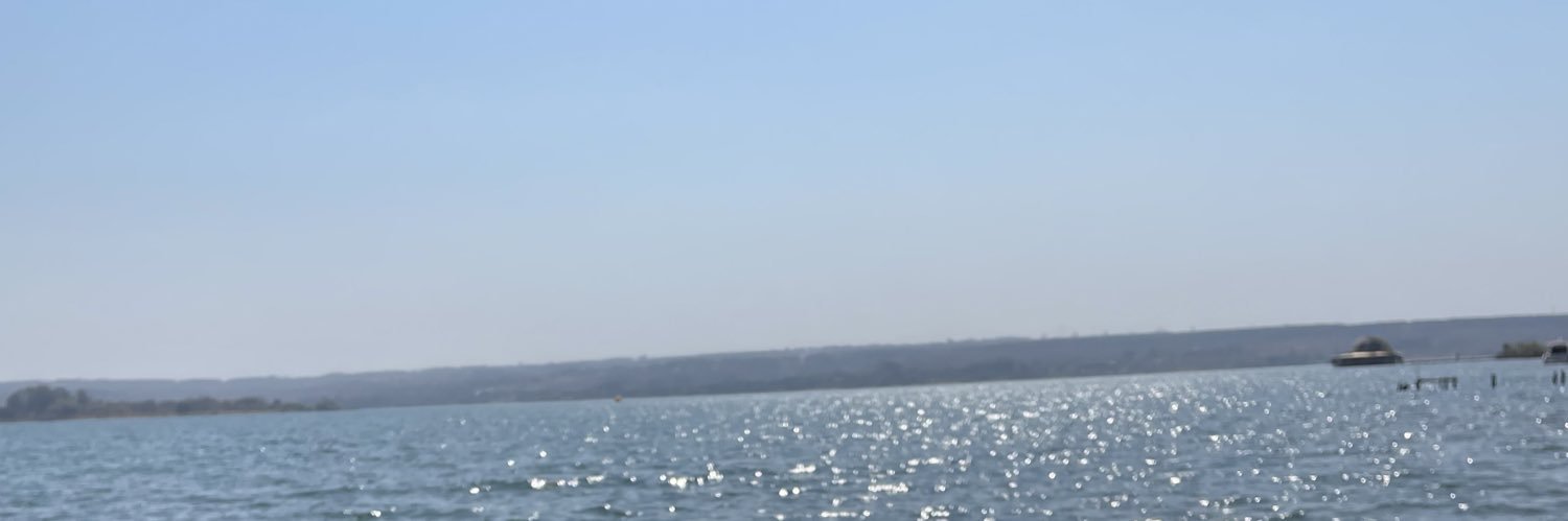 julinhatatuada's banner