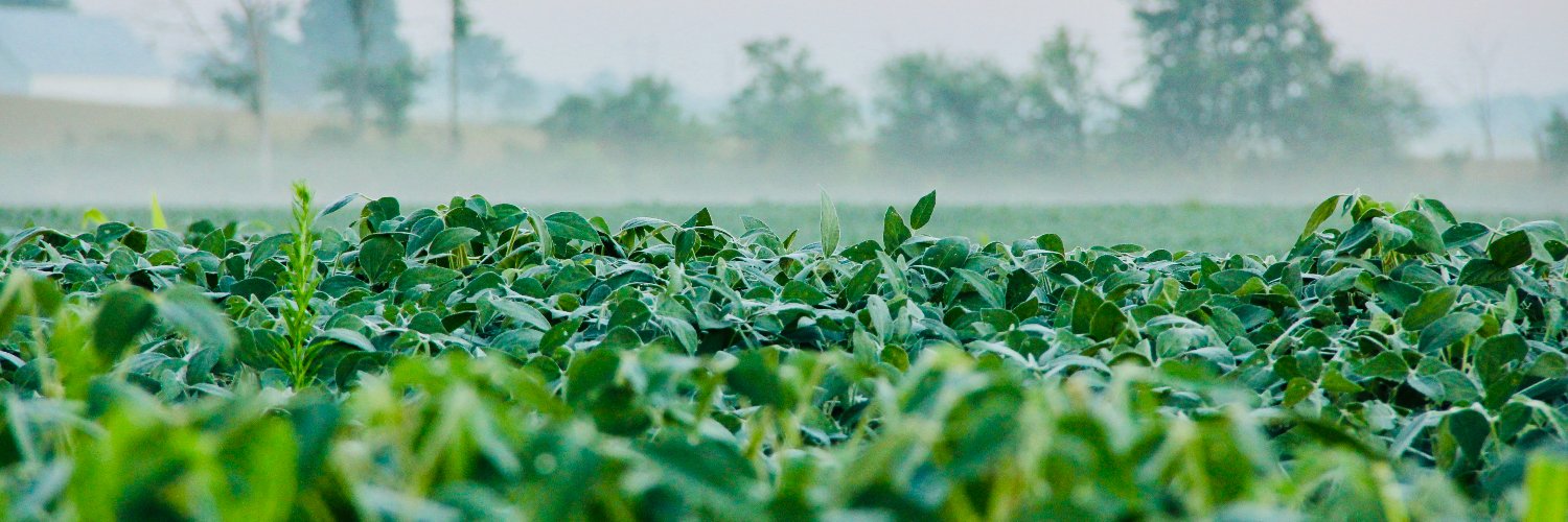 Brownfield Ag News's banner