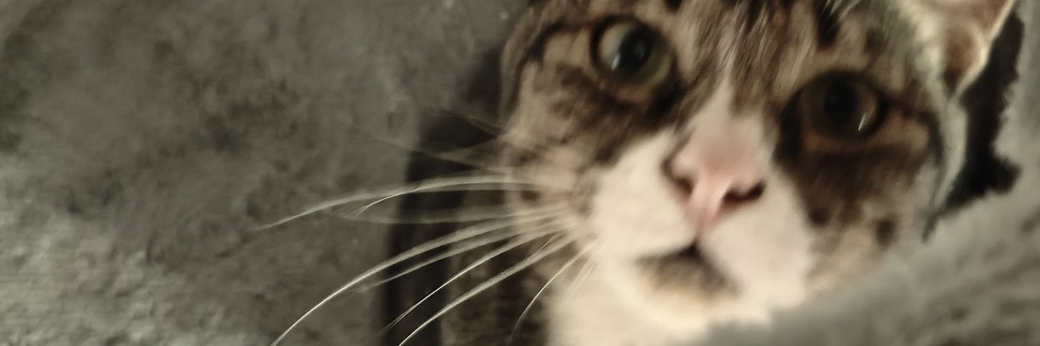 Pokley.'s banner