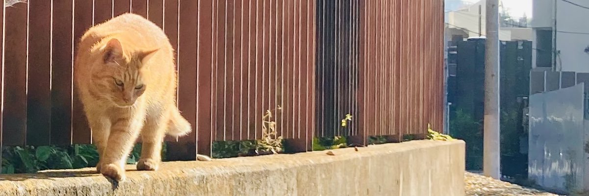 さけぶくろ's banner
