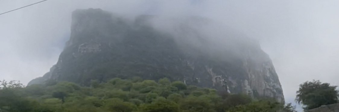 عمـر الـسـلـيمي's banner