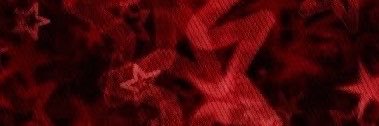 🐾 Vulpes • VulpVix 🌙's banner