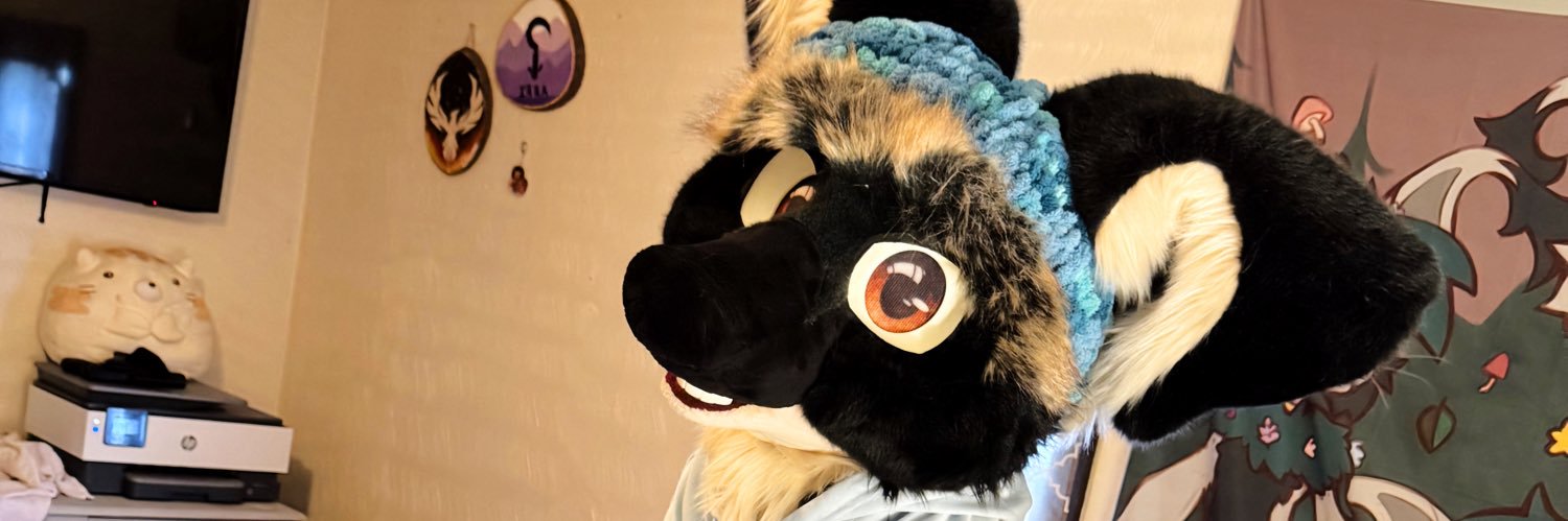 Kai 🦈's banner