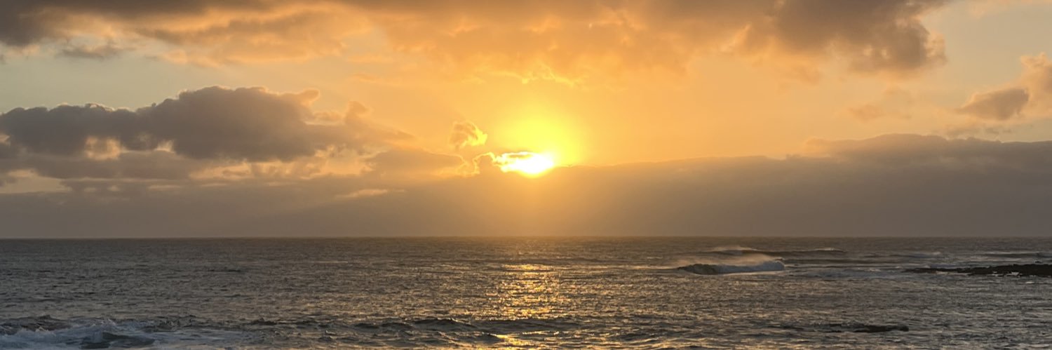 𝚃𝚑𝚊𝚒 🦋's banner