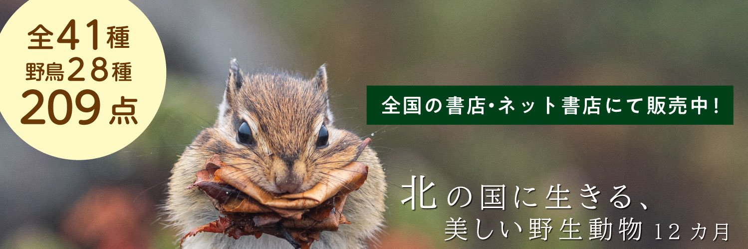 佐藤圭 Kei Sato｜動物写真家's banner