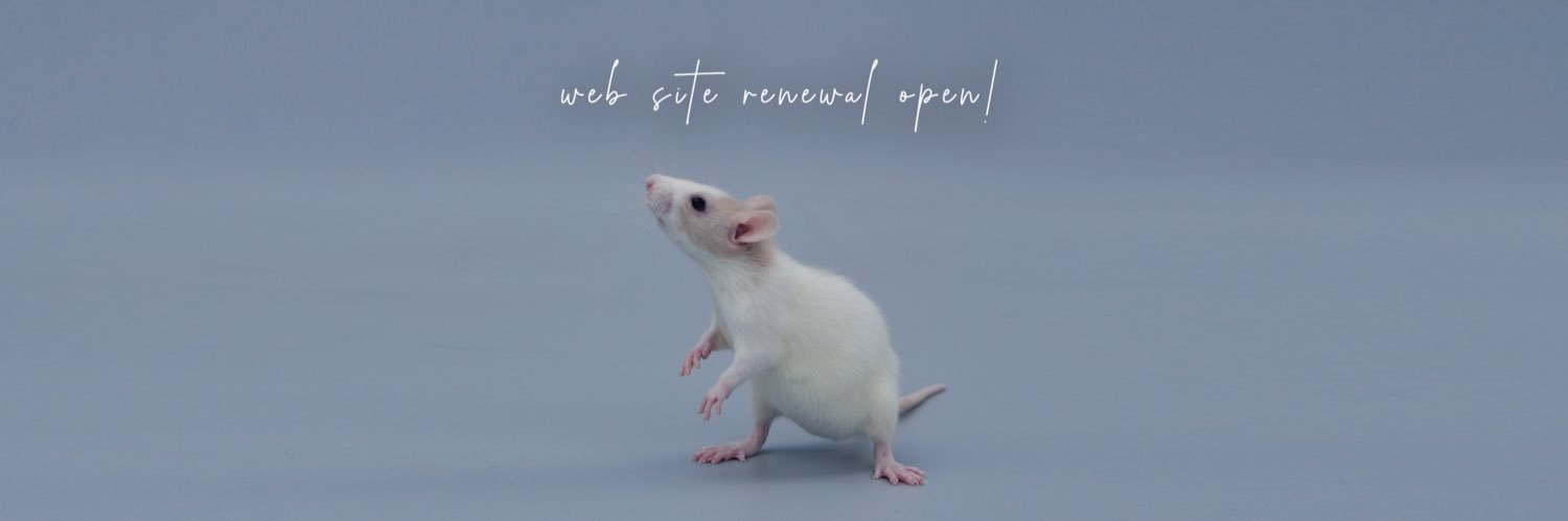 yaneurat_smallanimals's banner