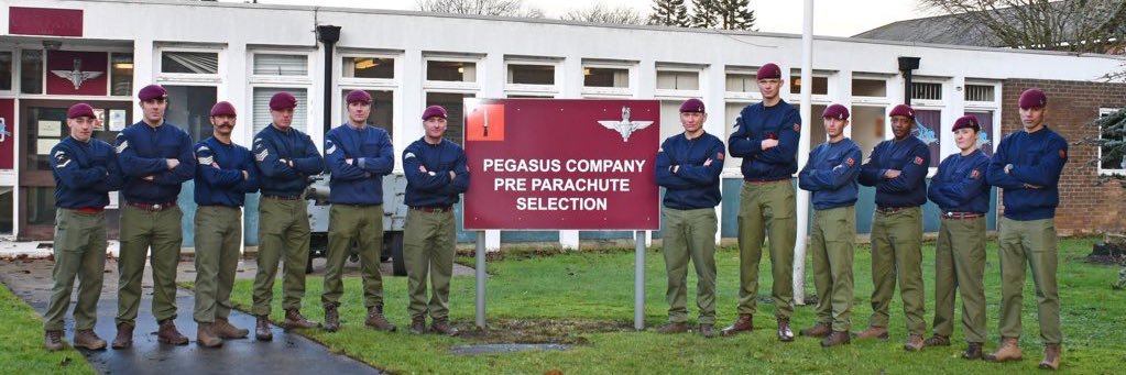 Pegasus Company's banner