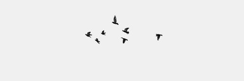 (not ) Jes 🍀's banner