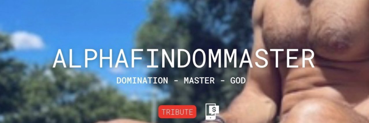 alphafindommaster's banner