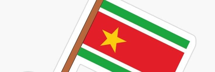 ⭐🟥🟩 𝗖𝗮𝗿𝗶𝗯𝗯𝗲𝗮𝗻𝗟𝗮𝗱𝘆971⭐🟥🟩's banner