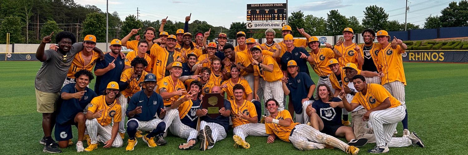 Gaston College Baseball's banner