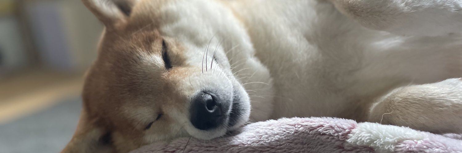 柴犬ハル's banner