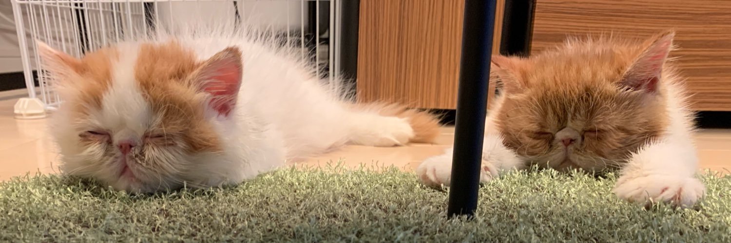nicecream's banner