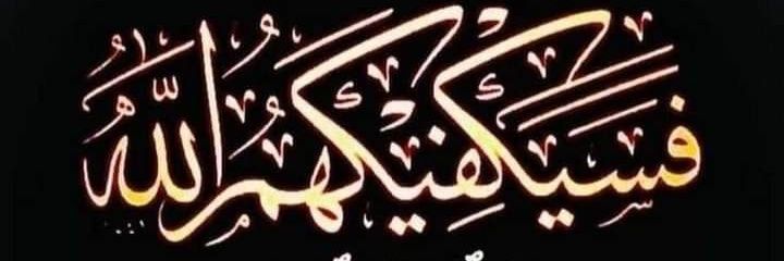amira ahmed's banner